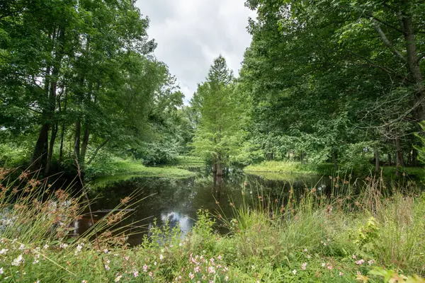 169 Pendergrass Rd, Flintville, TN 37335
