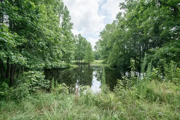 169 Pendergrass Rd, Flintville, TN 37335
