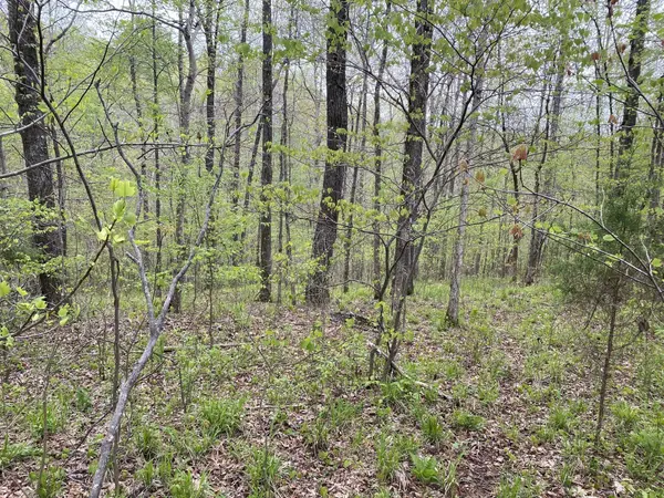 0 Eagle Loop, Loretto, TN 38469