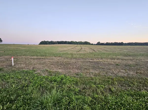 0 Blanton School Rd, Woodbury, TN 37190