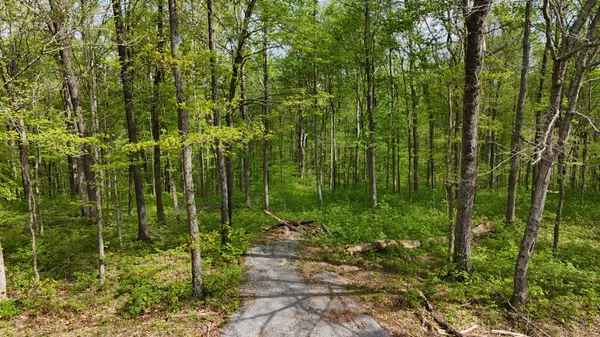 2 Greenbrier Rd, Franklin, TN 37064