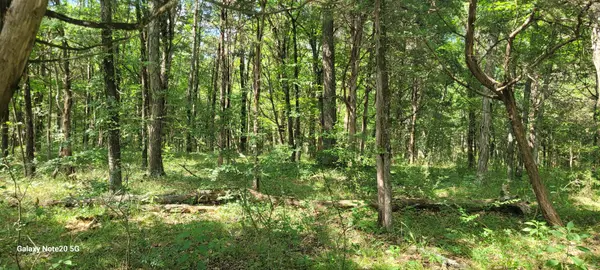 2 Clem Creek Rd, Chapel Hill, TN 37034