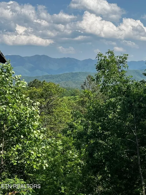 3 Powdermill Drive, Gatlinburg, TN 37738