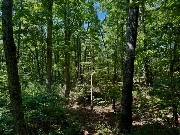 1 Teludachee Trail, South Pittsburg, TN 37380