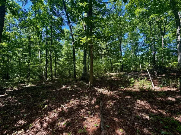 1 Teludachee Trail, South Pittsburg, TN 37380