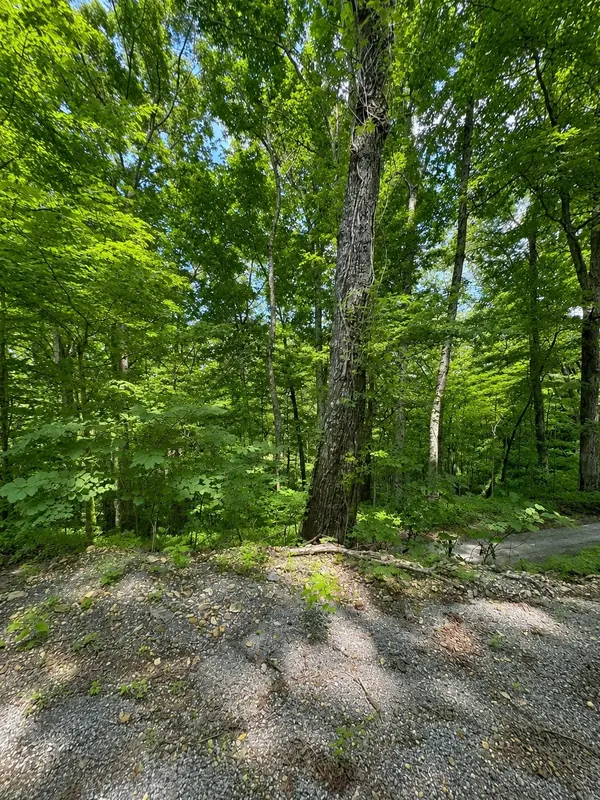 0 Lakeside Dr, Smithville, TN 37166