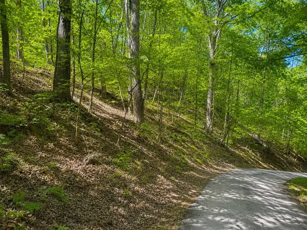 0 Lakeside Dr, Smithville, TN 37166