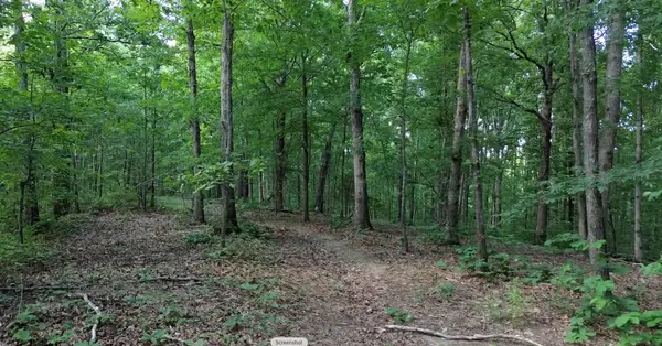 0 Owl Circle, Hurricane Mills, TN 37078