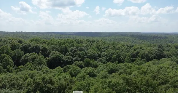 0 Owl Circle, Hurricane Mills, TN 37078