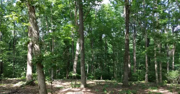0 Owl Circle, Hurricane Mills, TN 37078