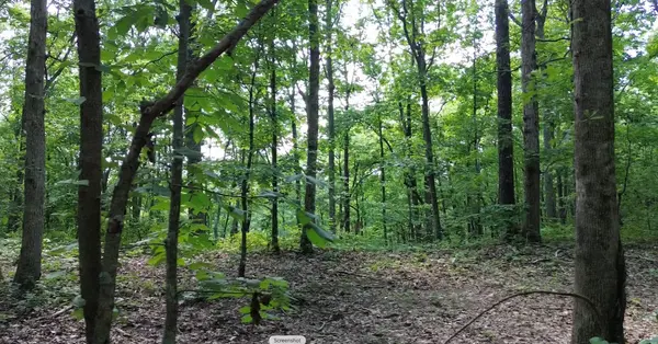 0 Owl Circle, Hurricane Mills, TN 37078