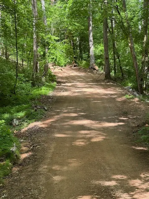 455 Moss Spring Hollow Road, Centerville, TN 37033