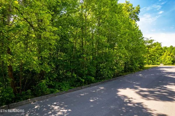 1055 Houston Springs Rd, Greenback, TN 37742
