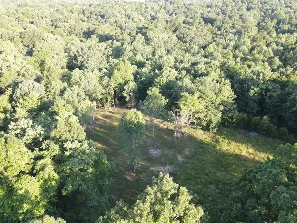 0 Lylewood Road, Woodlawn, TN 37191