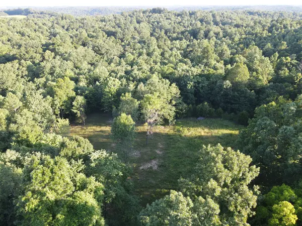 0 Lylewood Road, Woodlawn, TN 37191