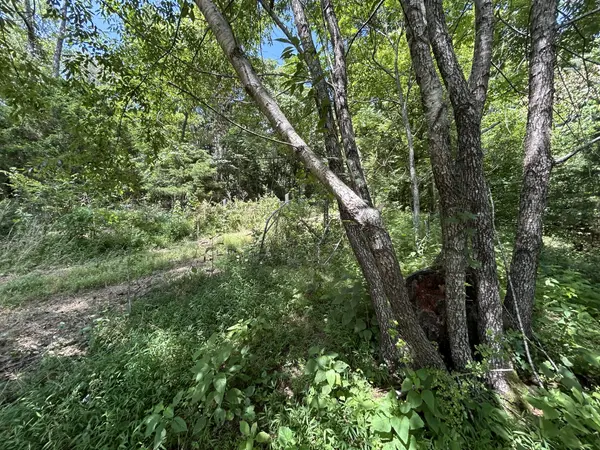 1 New Hope Cemetery Rd, Pulaski, TN 38478