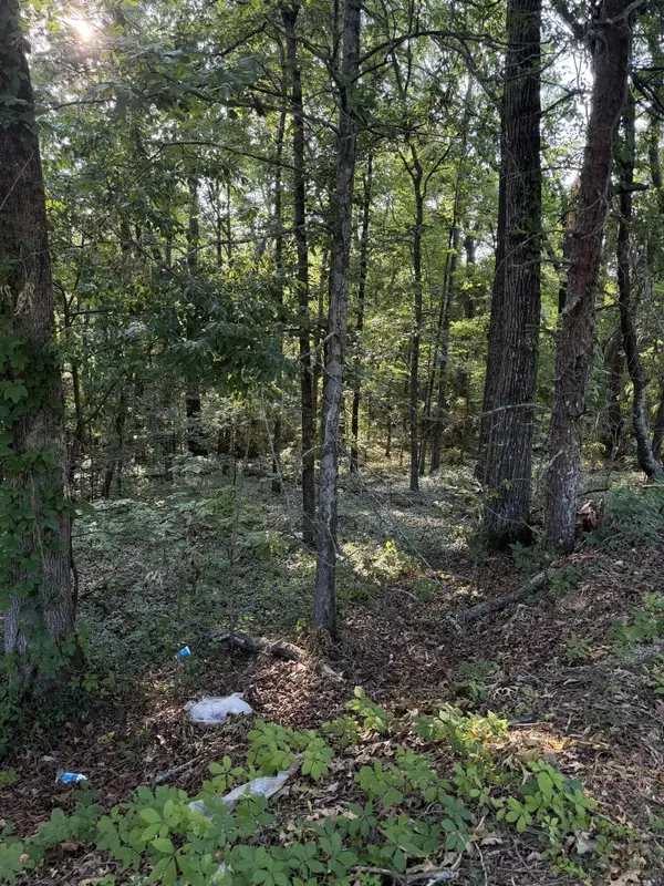 0 Birchwood Pike, Harrison, TN 37341