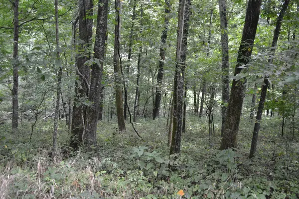 0 Pond Drive, Gallatin, TN 37066