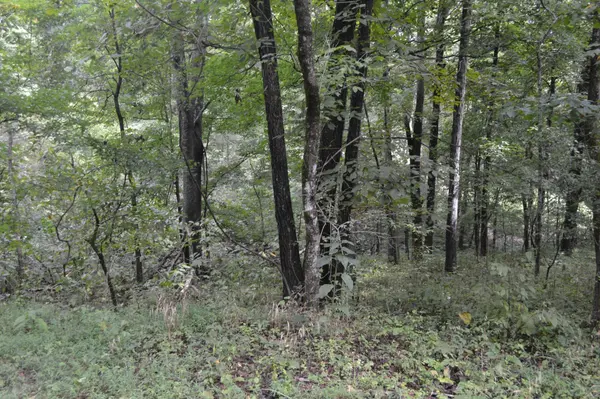 0 Pond Drive, Gallatin, TN 37066