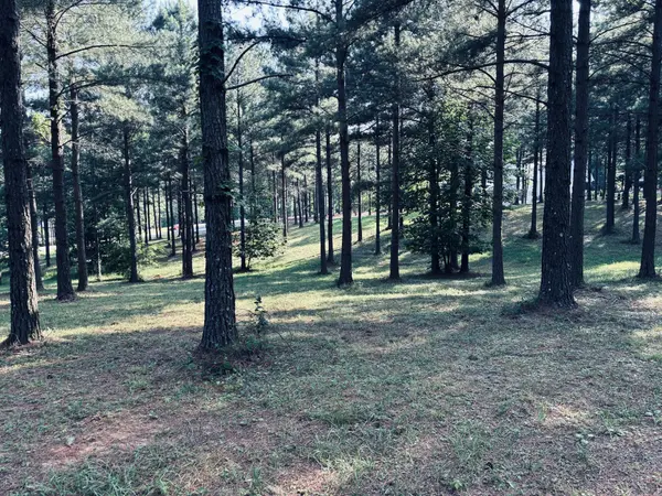 0 Raulston Falls Road, Jasper, TN 37347