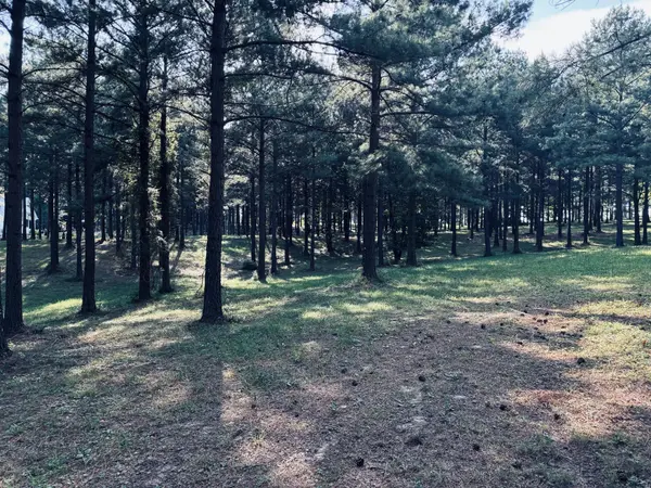 1255 Raulston Falls Road, Jasper, TN 37347