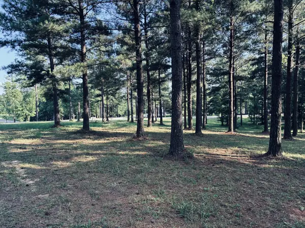 0 Raulston Falls Road, Jasper, TN 37347