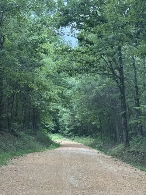 0 Old State Highway 69, Sugar Tree, TN 38380