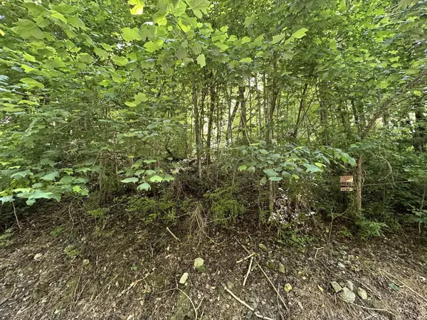 0 Shoreside Dr, Smithville, TN 37166