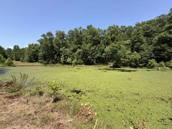 215 Bar Bee Rd, Hohenwald, TN 38462