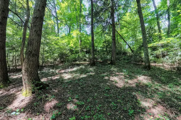 0 Leffle Webb Rd, Crossville, TN 38572
