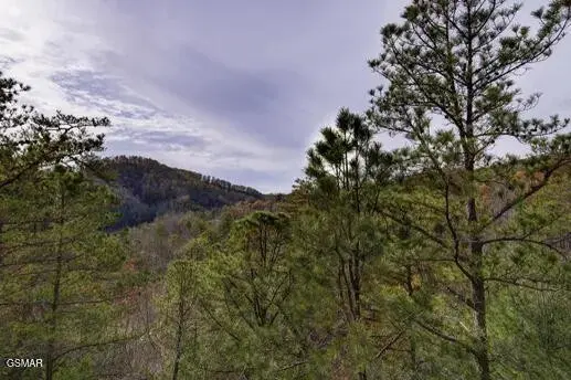 1340 Parkview Vista Way, Pigeon Forge, TN 37863