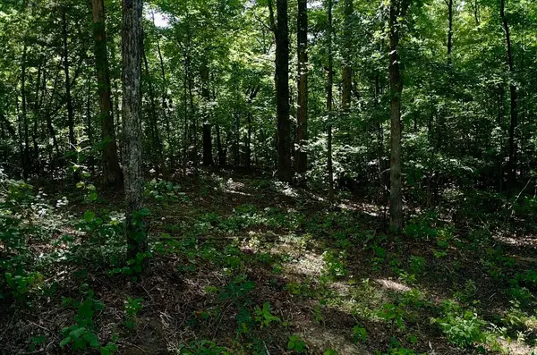 0 Jeanette Holladay Rd, Parsons, TN 38363