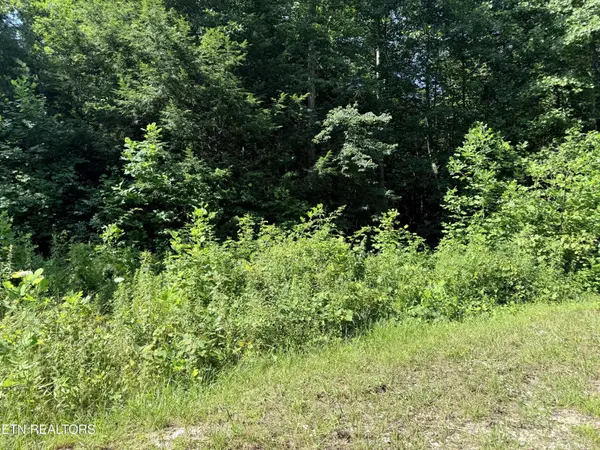 760 Dubose Drive, Jamestown, TN 38556