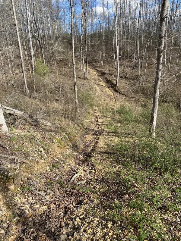 401 Napier Rd, Hohenwald, TN 38462