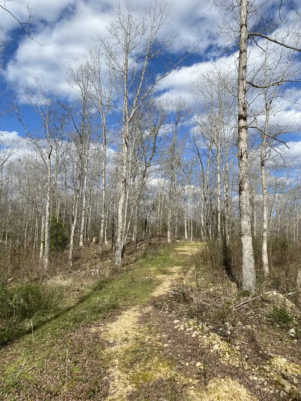 401 Napier Rd, Hohenwald, TN 38462