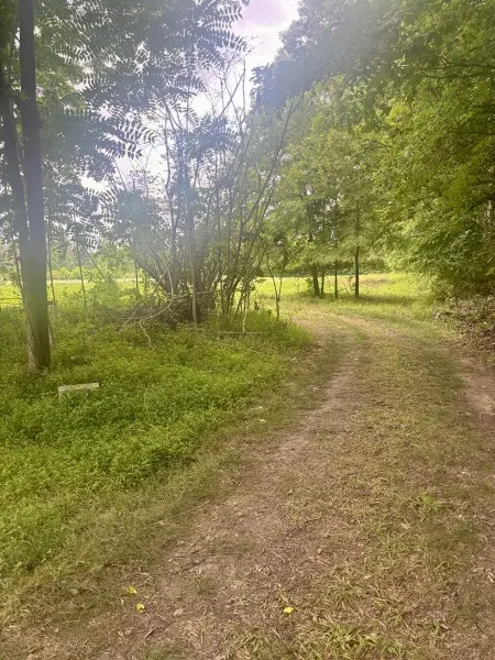294 Haskell Winton Rd, Manchester, TN 37355