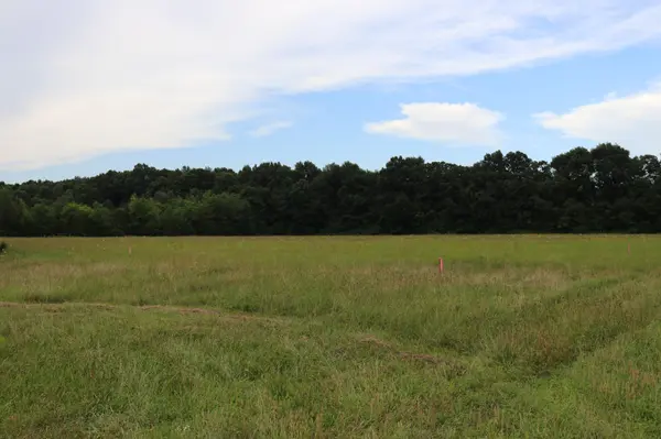 0 Laws Hill Road, Lewisburg, TN 37091