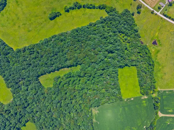 0 Highway 672, Princeton, KY 42445