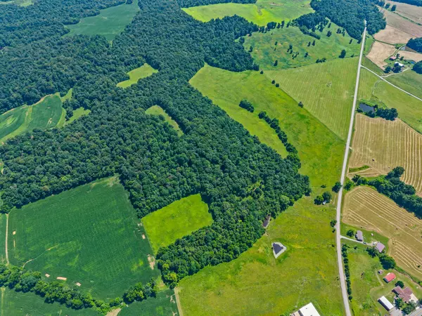 0 Highway 672, Princeton, KY 42445