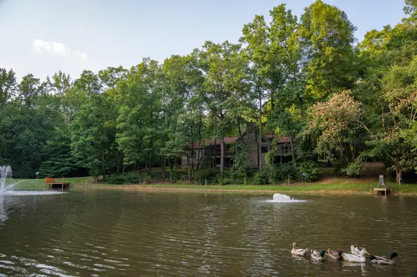 7348 Bradford Rd, Primm Springs, TN 38476