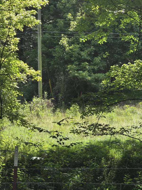 0 Difficult Ln, Pleasant Shade, TN 37145