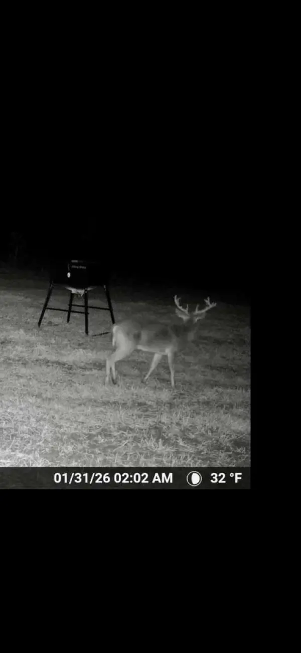 0 Sealy Wells Rd, Cottonwood, AL 36320