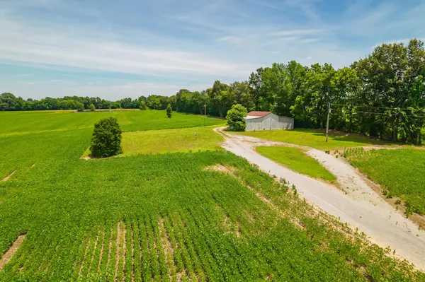 4996 Arch Thompson Rd, Union City, TN 38261