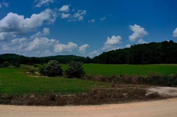 0 Old Furnace Rd, Decaturville, TN 38329