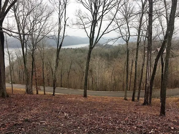 413 Maury Lane, Smithville, TN 37166