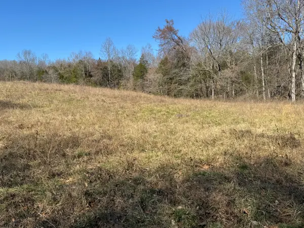 0 Corlew Road, Charlotte, TN 37036