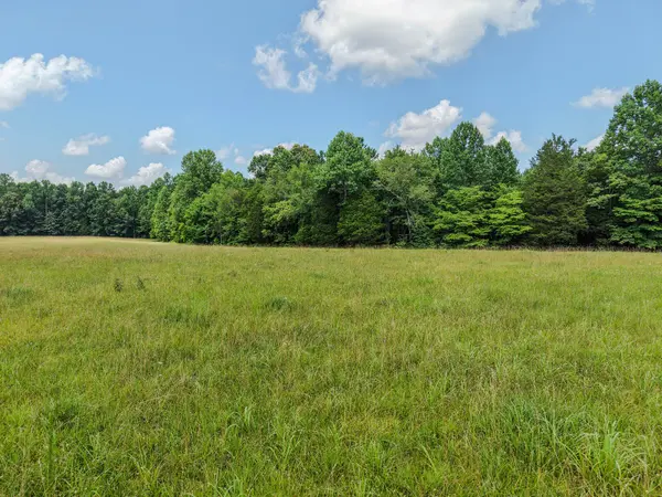 215 Clear Creek Rd, Leoma, TN 38468