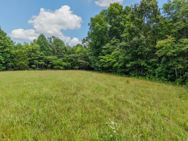 215 Clear Creek Rd, Leoma, TN 38468