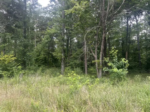 6 Toms Creek Lake Rd, Linden, TN 37096
