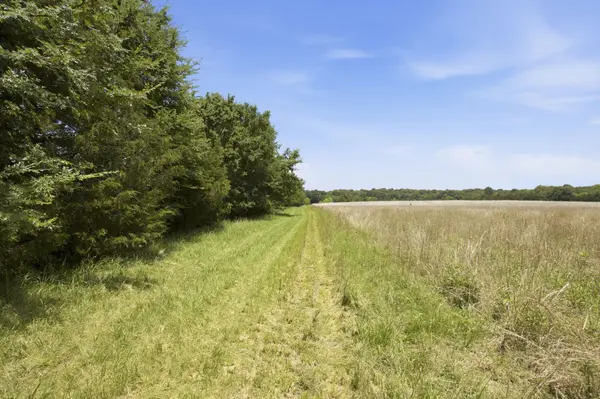 0 Bethlehem Church Road, Shelbyville, TN 37160